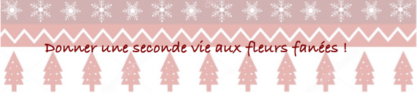 seconde vie fleurs fanées