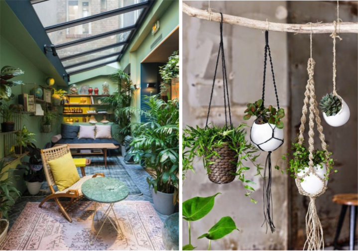 jardin d'hiver pinterest.com