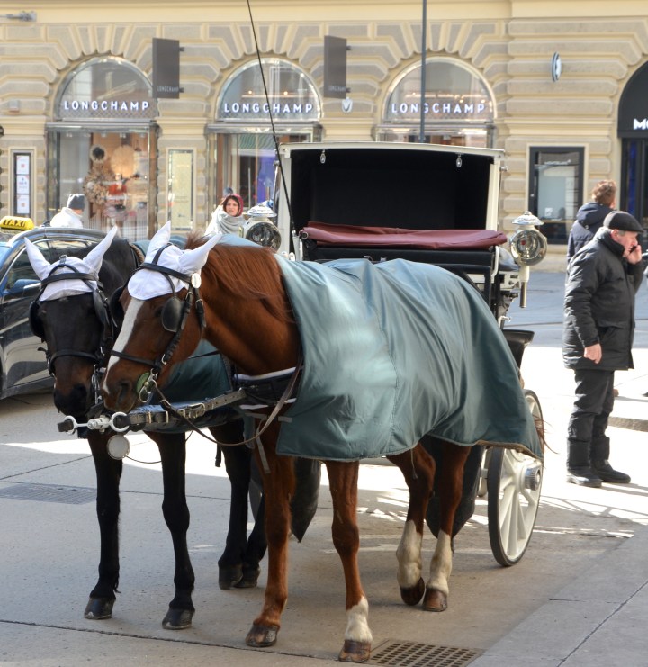 Calèche Vienne