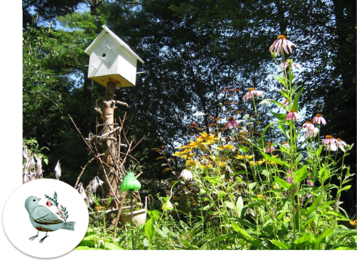 Maison pour oiseau printemps