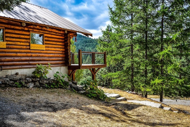 Cabane dans la forêt