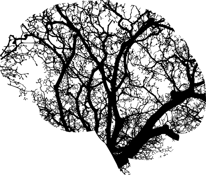 Comment garder un cerveau&nbsp;jeune?