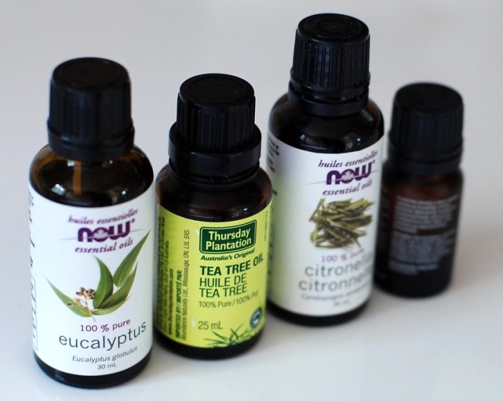 tea tree huile essentielle