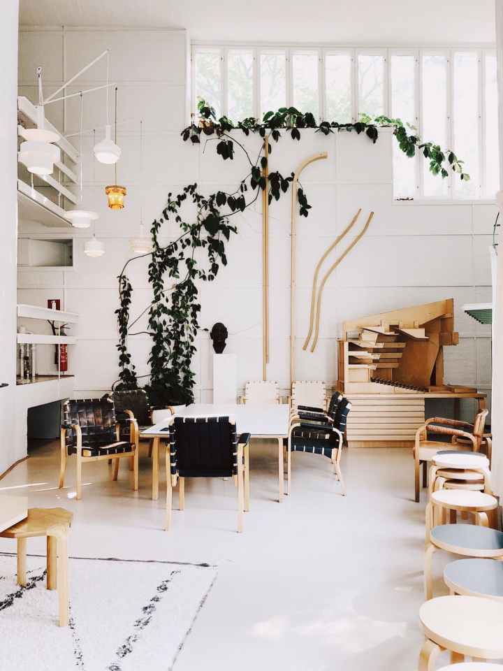 oasis verdure maison