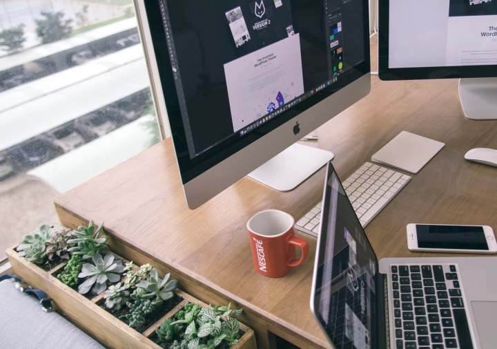 plante bureau travail