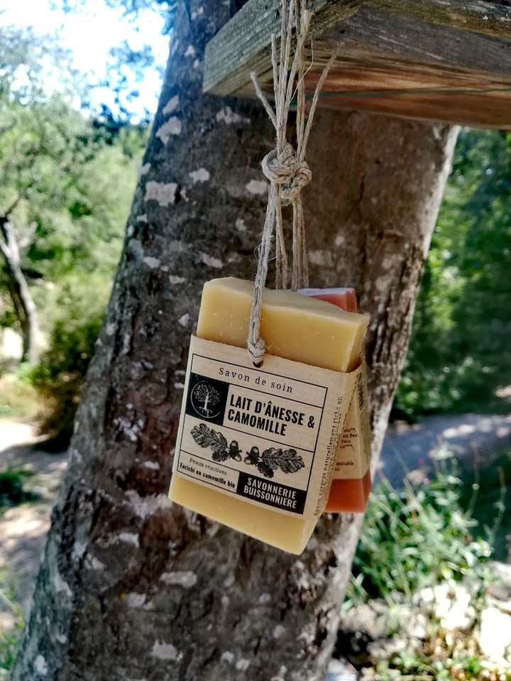 Savon et shampoing solides Savonnerie Buissonnière - Zoessentielle