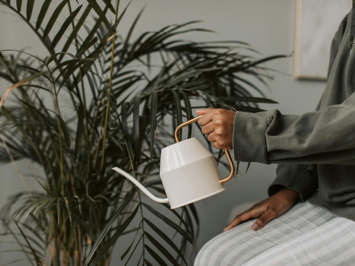 Quand vos plantes émettent un son secret pour dire qu’elles ont&nbsp;soif